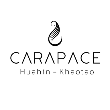 Carapace logo